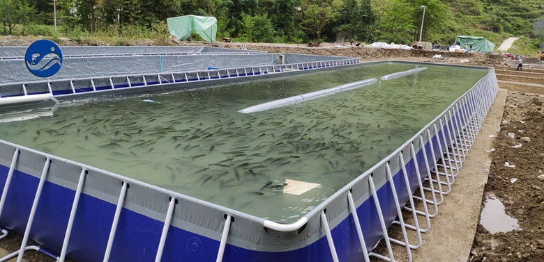 貴州遵義移動鋼架跑道式流水槽養魚項目